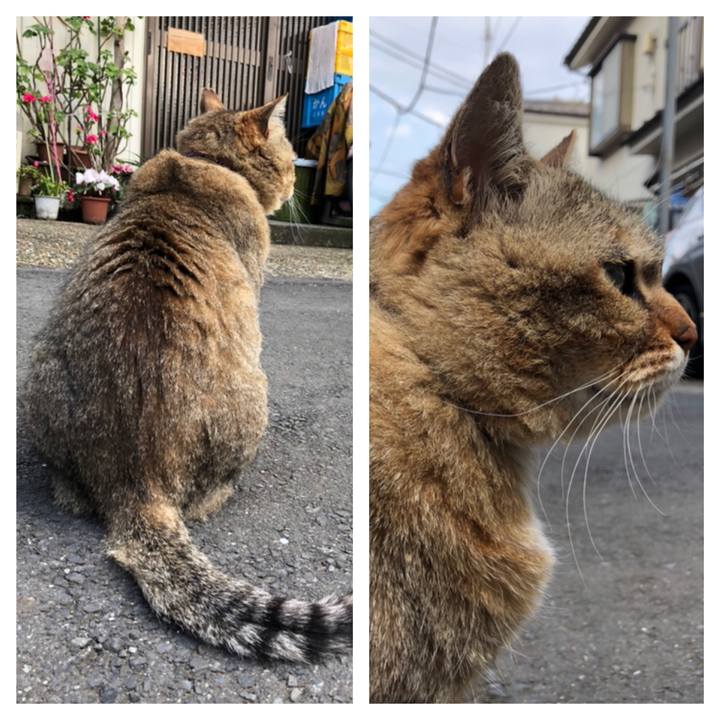 85be072d 319d 454b 89a7 268fba00a57c 1554079522040