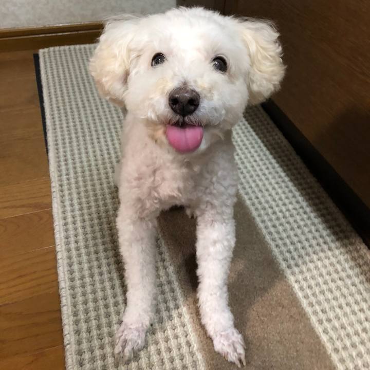 85be3e65 366d 4ab1 a0a0 0197b53b20e3 1537185589411