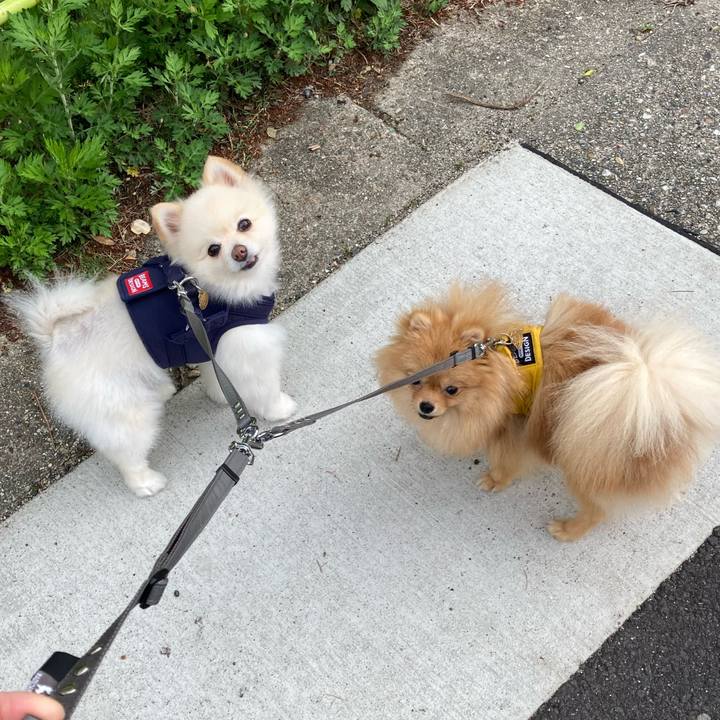 85be4a22 2c43 4d34 9616 e52703f64011 1651103049850