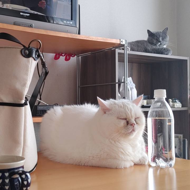 85be99d2 072d 4e01 9389 e4363abc863e 1723501518480