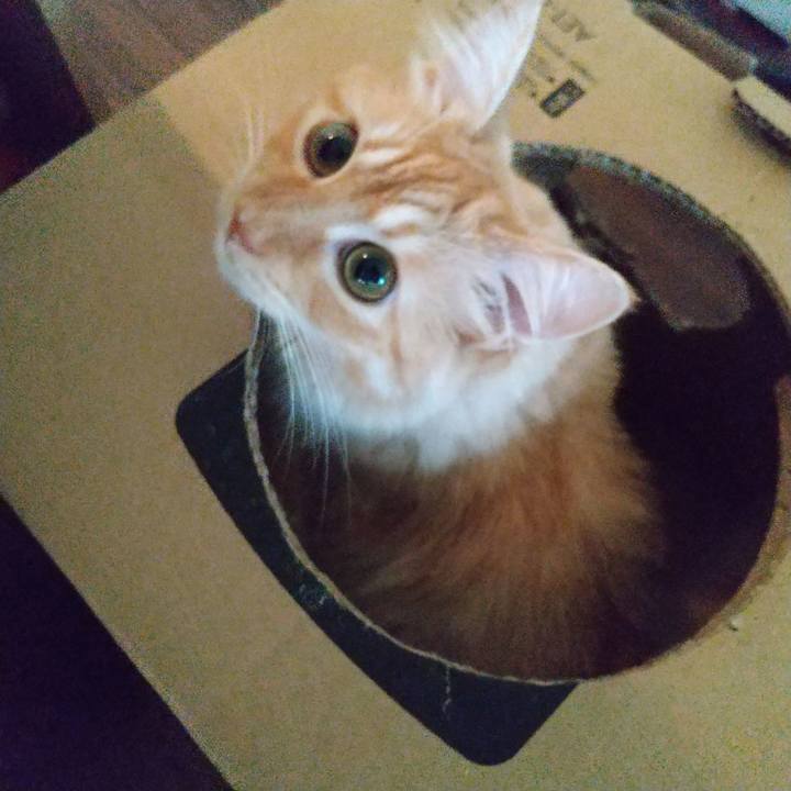 85bee805 3a55 4f0c 9c61 a85d6424f479 1628633045614