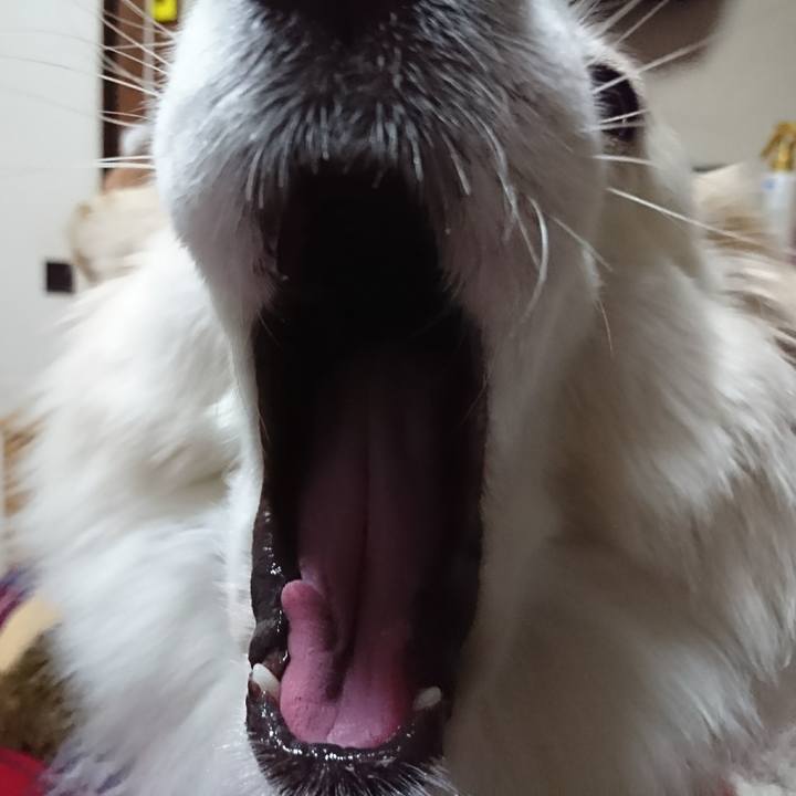 85bf39ea dd5a 46ce a6df e363ca81c840 1513051669850