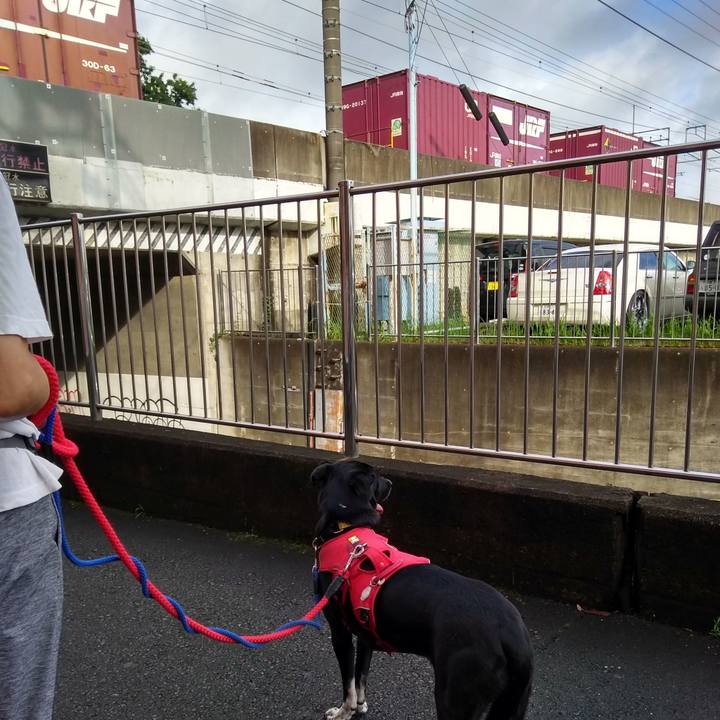 85bf70d6 8a0b 4879 94b9 a70ec749a015 1599091317971