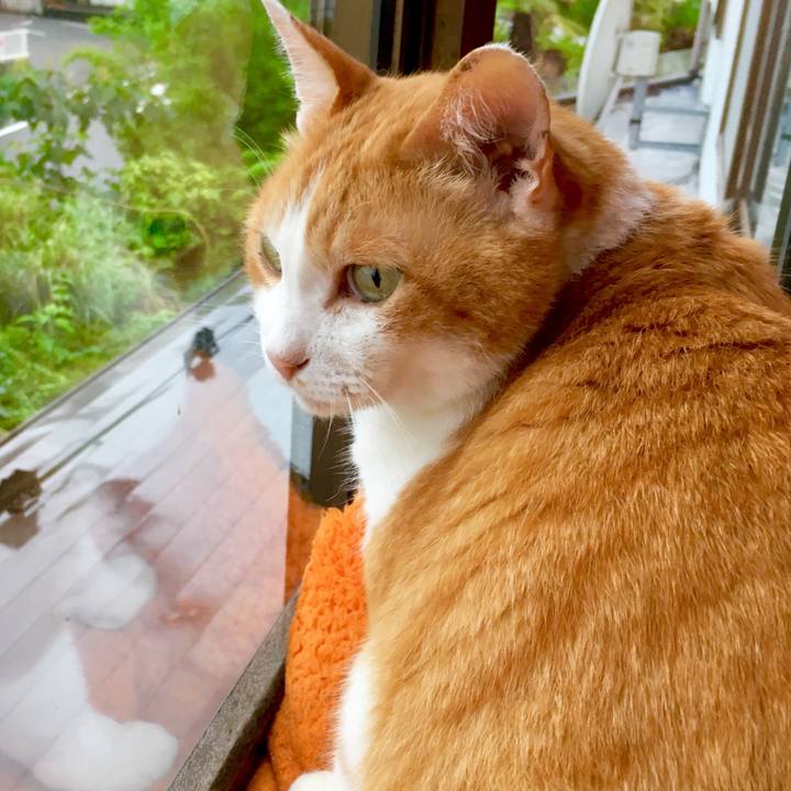 85bf7407 c03a 4e0b b32e 35cf5bfb8dbf 1563098510331