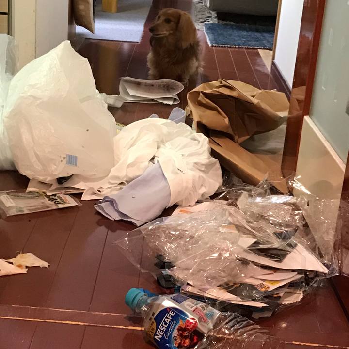 85bf929a 0311 4796 a99d 6ec4e8415586 1558703081559