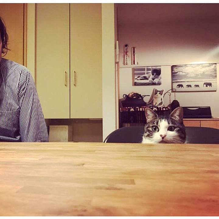 85bfc72b ceab 4af1 8db3 dce79b396796 1540907272792