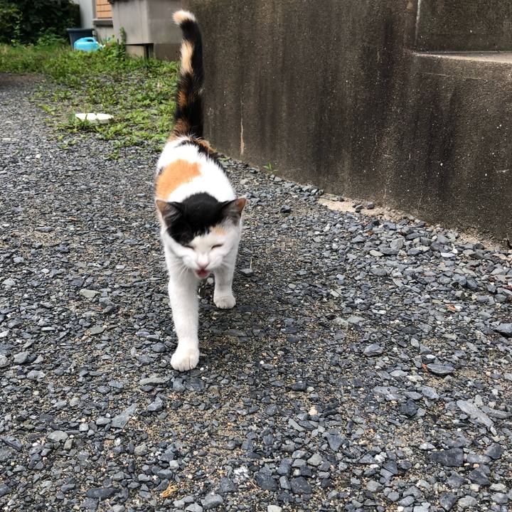 85c02849 ccb2 4aa1 b769 2c92cc77dd20 1626041752276