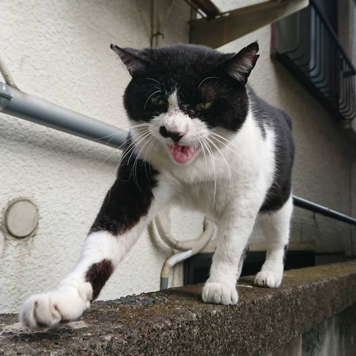 85c04b6f a436 462a 97f8 ccfa5aabb40d 1532646679301