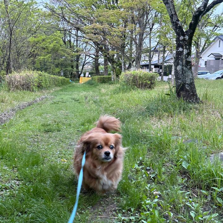 85c05da3 c537 49b7 9cc7 6d5438308790 1713215150926