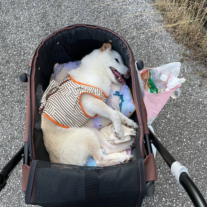 85c08b7f 1499 4bb3 8917 5835eaa21879 1655903971891