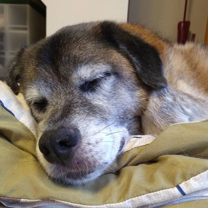 85c0d847 ea67 4680 9a5f 0f1d8d8f85ad 1566532608638