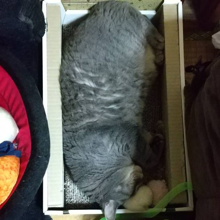 85c1036c 888f 4f76 a13b 718cd80c1564 1626363985422