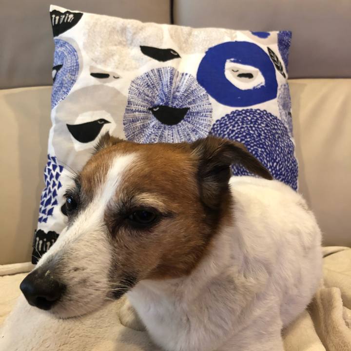 85c1157f 0510 400d aa47 b7007760174e 1518331401715