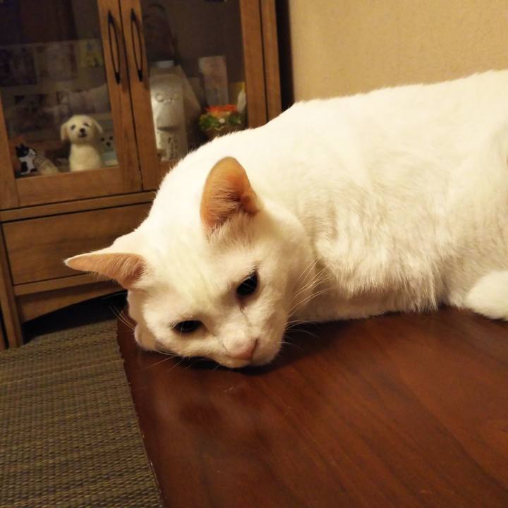 85c11ddd 9322 4801 bffb a1a568efa0b1 1570029977164