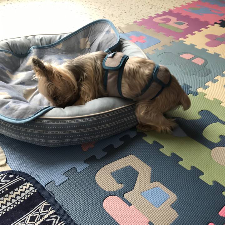 85c13016 6606 4393 a823 c2fed01c636b 1691230407559