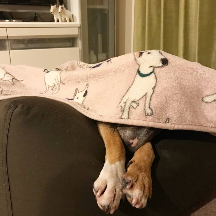 85c16880 ec9f 48dc bcff 648ebd4a0b6f 1519057021239