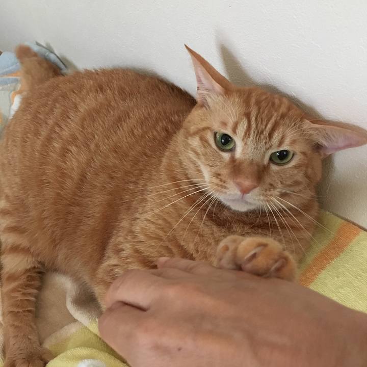 85c18da2 5d7f 4af5 92e8 5ce8e7a1eb26 1538282506744