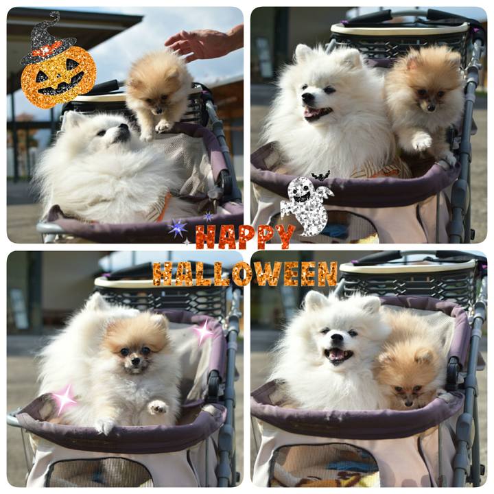 85c199bf 54b6 4e92 8745 5267a6aed94b 1509103457825