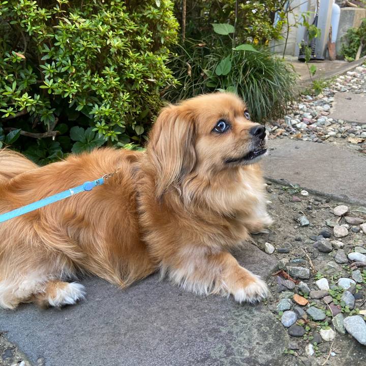 85c1bad8 ce36 466f 8d45 d4e5a2fa055d 1597270428978