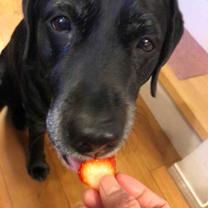 85c20eb0 d6ca 468c 84bc fcc5f6f4b64b 1547997300743