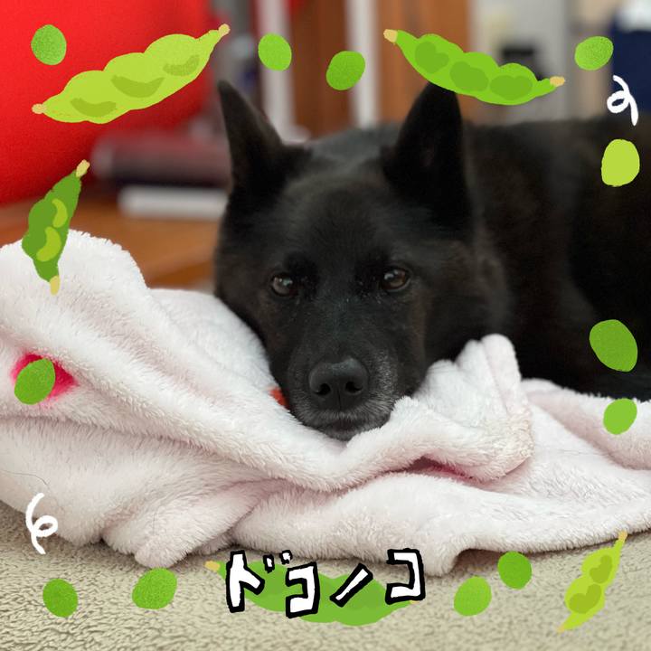 85c248f0 f123 49cc a3ed 30d89450bad2 1721120715041