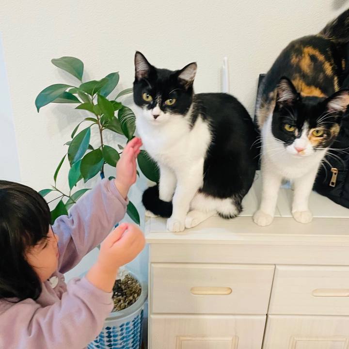 85c28fc4 fbe8 4a60 a1af d2b7d39984bd 1645680974618