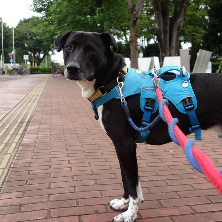 85c2f05d c7ce 4c83 8d3b b312b348a282 1622247607475