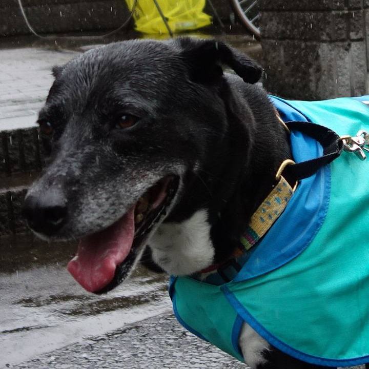 85c3045f 233b 44bf bccd ada6816e09ed 1719534109139