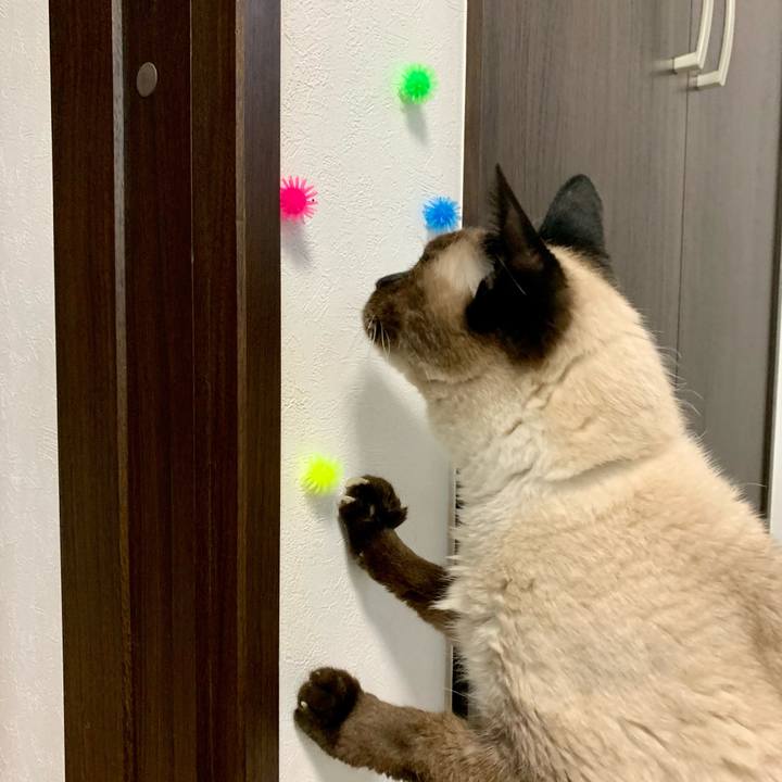 85c32e77 c19c 42e8 b55e 7f5d88712a49 1623542321304