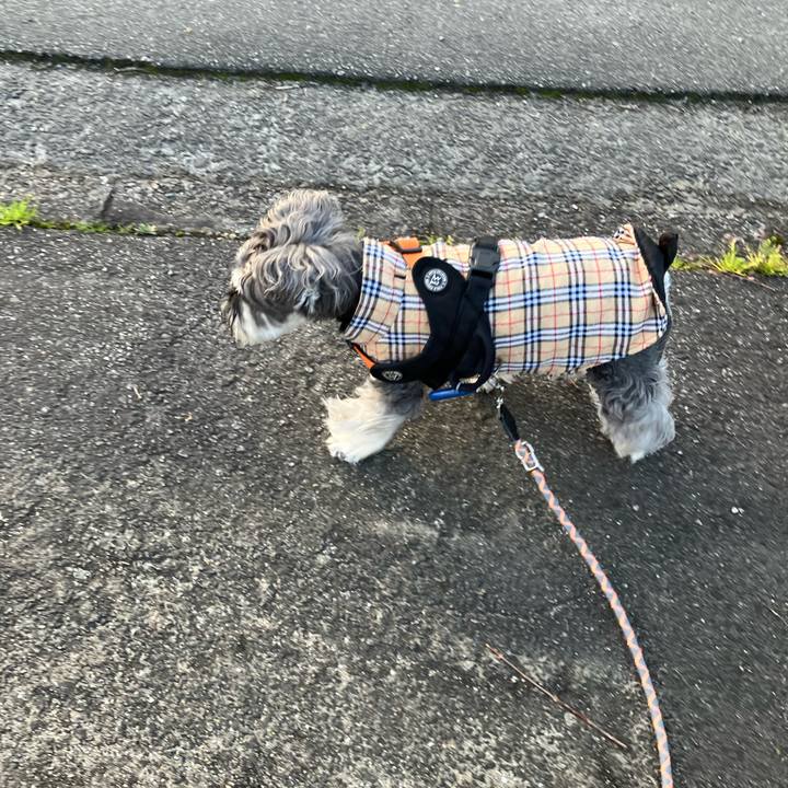 85c33c2a 176b 4a6f aca7 2450c26d06e9 1774562622297