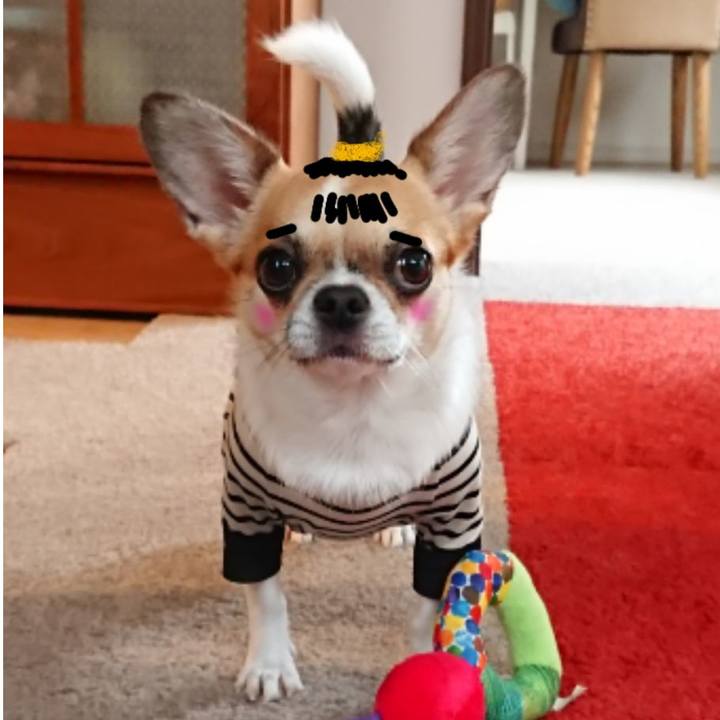 85c34247 6a72 4857 8ba8 f569e3a4db4f 1599956913648