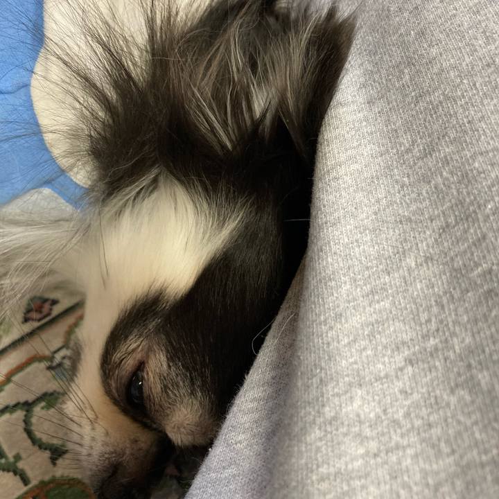 85c34792 92bd 429c b540 b8e055c26970 1667110046229