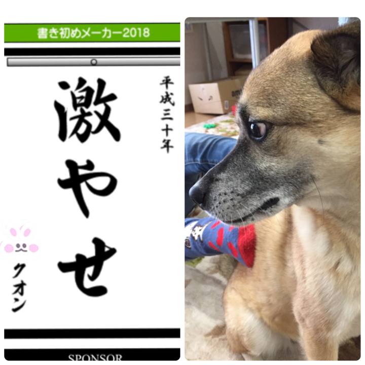 85c38459 54c2 4bef ab66 fcb11dae1f7b 1515137580207