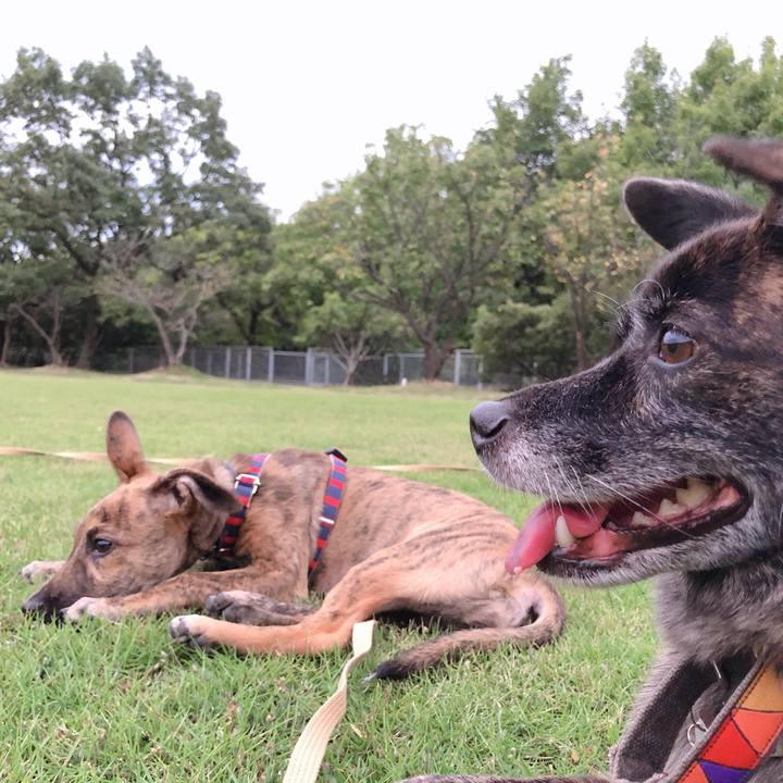 85c3c4fb 647b 4afc ab76 c6fe3e696772 1569060815663