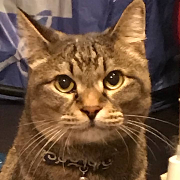 85c3c868 8fb4 49bf 8783 b0d6ccad6214 1561129211532