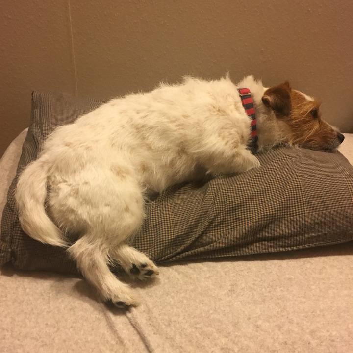 85c41f18 17ef 4009 9274 ee5797e96b18 1527088350834