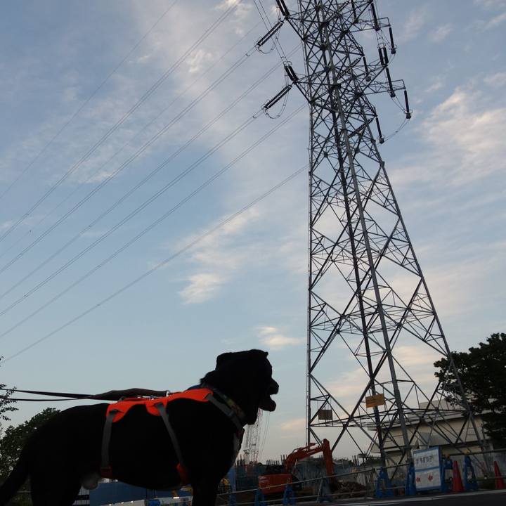 85c42dc8 208c 4314 8fc9 caa35a53b309 1718536456279