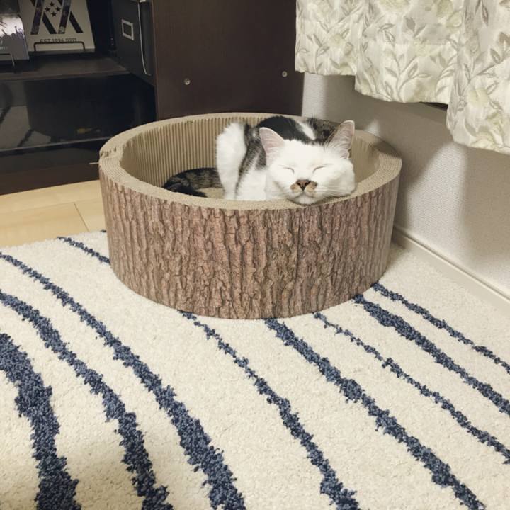 85c43989 5669 4ba0 95eb b7ee042c1558 1530790252163