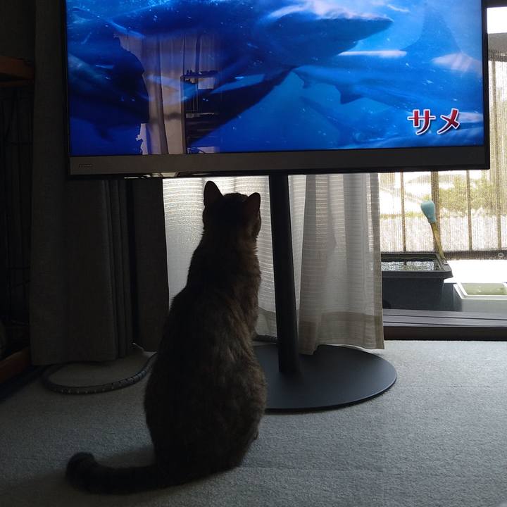 85c445fd c0d0 4142 98f5 90e3cad870d6 1658533576028