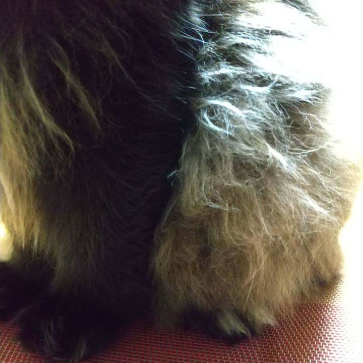 85c47b24 7e22 4561 afb2 74cbf90f0e36 1684582885817