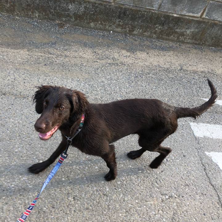 85c4d316 11f6 4f76 bf97 978d43021a3a 1559769475622