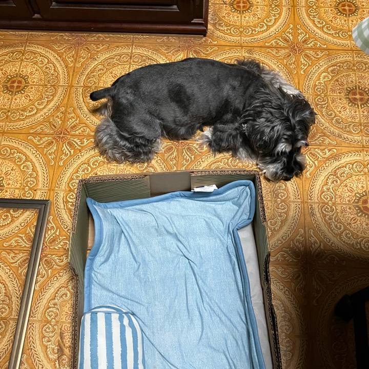 85c4d5a0 3b84 4b87 bb06 2f5126ee4237 1718199882937