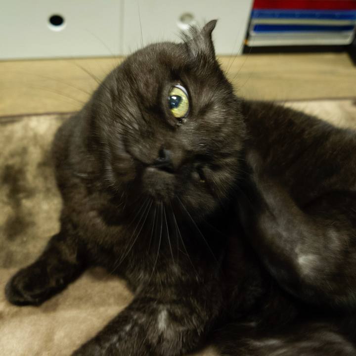 85c508c6 22d7 49f0 8f81 5f57bd69f4a3 1607925283226