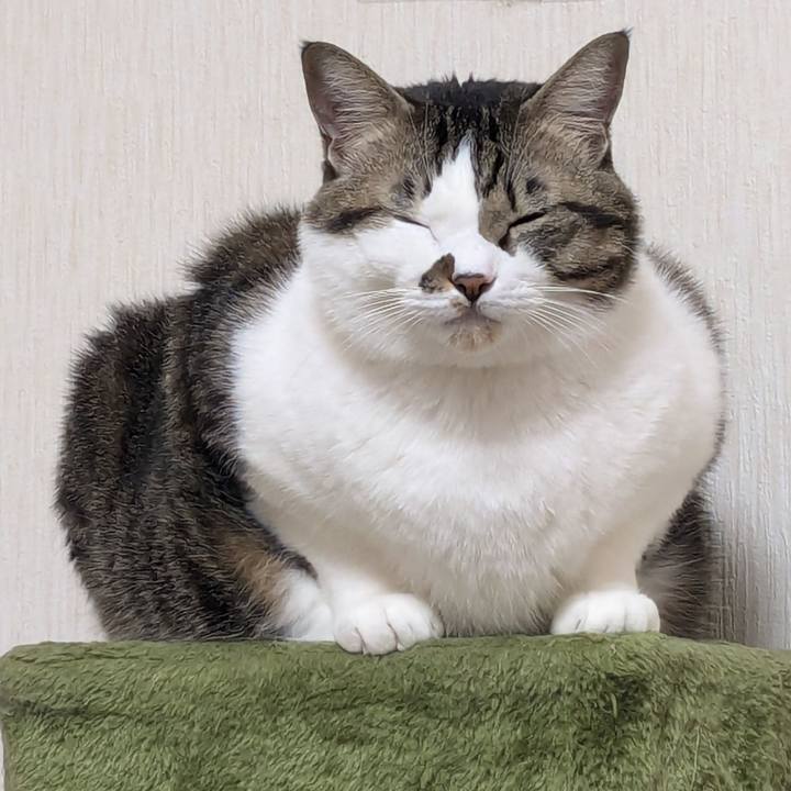 85c5118d 6c87 46db 8fdc 656ebe69fce7 1732916850473