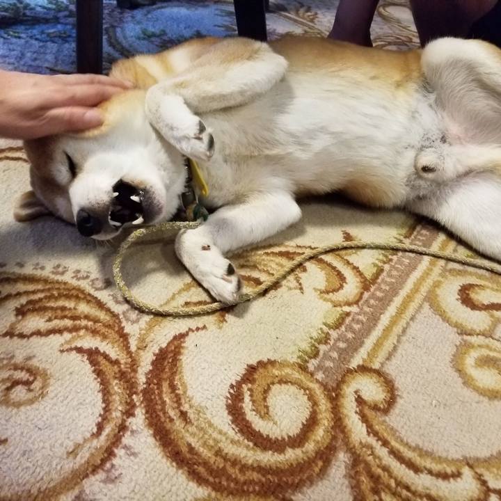 85c51627 590e 422b 8ccd 1df5e63be3d8 1568605313933