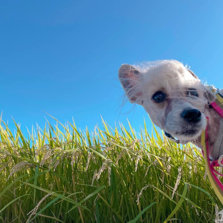 85c52657 8320 45fd 9240 22b1305bba70 1759993720970