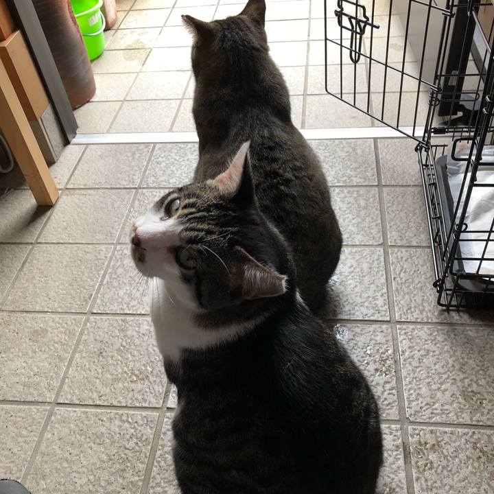 85c53973 b533 4d2e a4a4 b49c1e9fd527 1538297936774