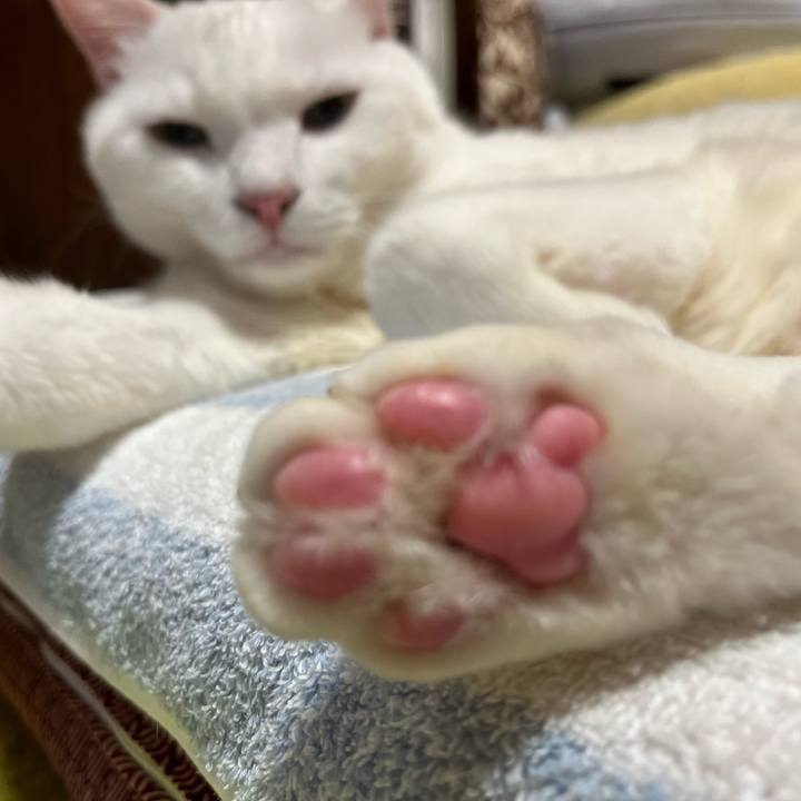 85c589ab a38a 4976 be55 17423d27bd6e 1716015289176