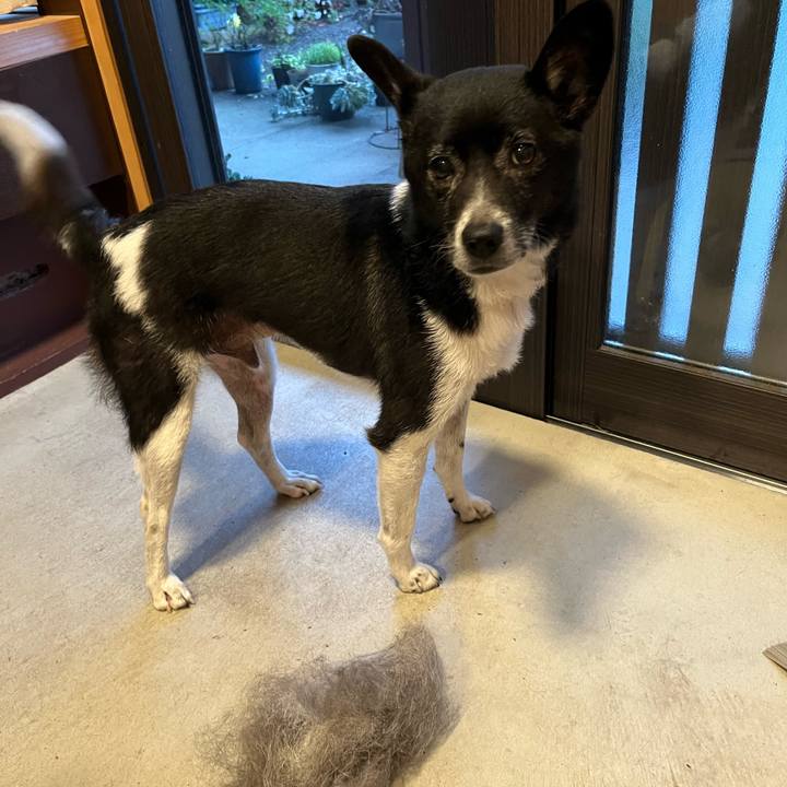 85c59278 8b3d 48e3 a969 f77d121897ec 1687910313593