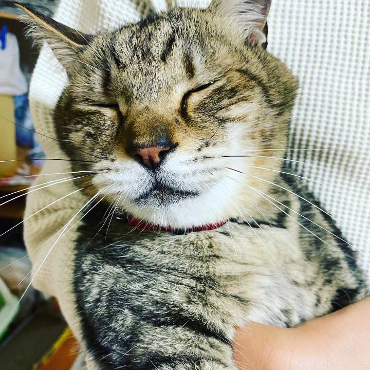 85c594ce 923c 420a 90d9 0698f57caed4 1592360316454